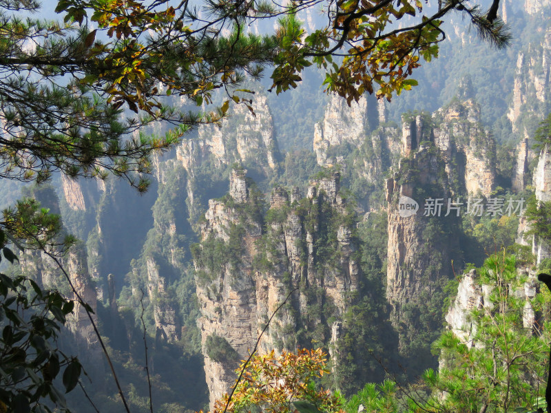 湖南张家界武陵源国家森林公园旅游风光