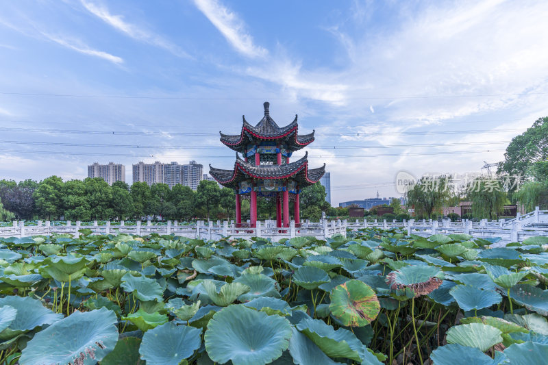 武汉江夏区谭鑫培公园风景