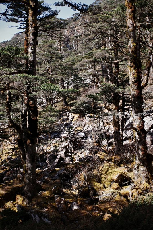 云南大理苍山洗马潭景区