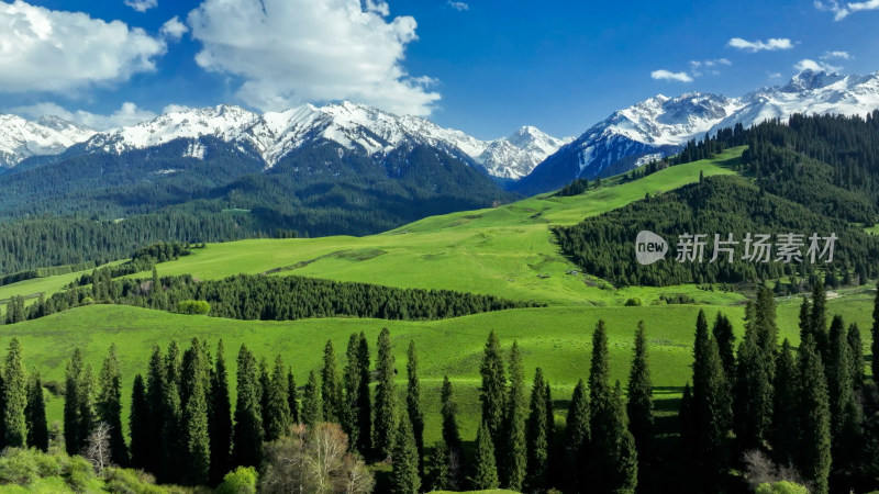 航拍草原雪山森林自然风光