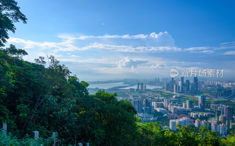 深圳南山公园望城市CBD摩天大楼建筑全景