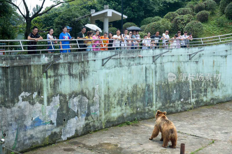 温州动物园