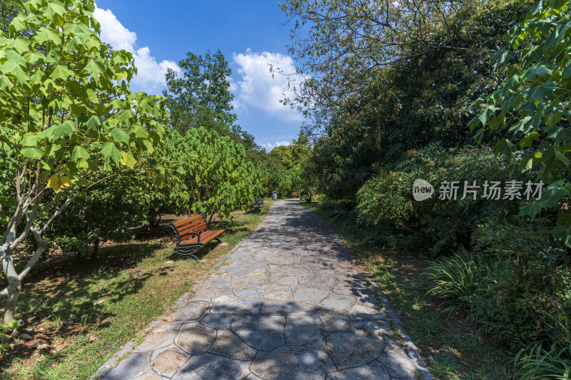 武汉蔡甸汤湖公园生态园林风景