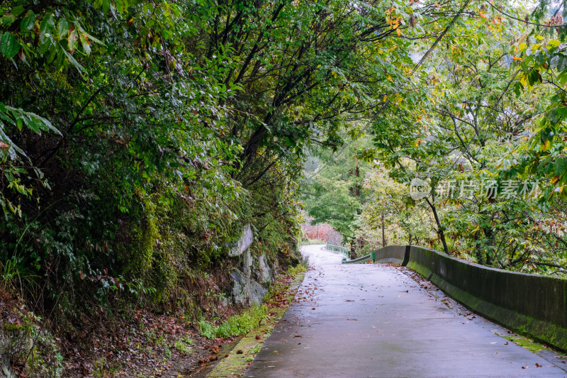 汉中留坝火烧店镇秦岭深处的山中小路