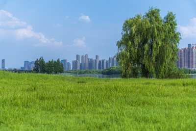 武汉汉阳墨水湖公园湿地公园
