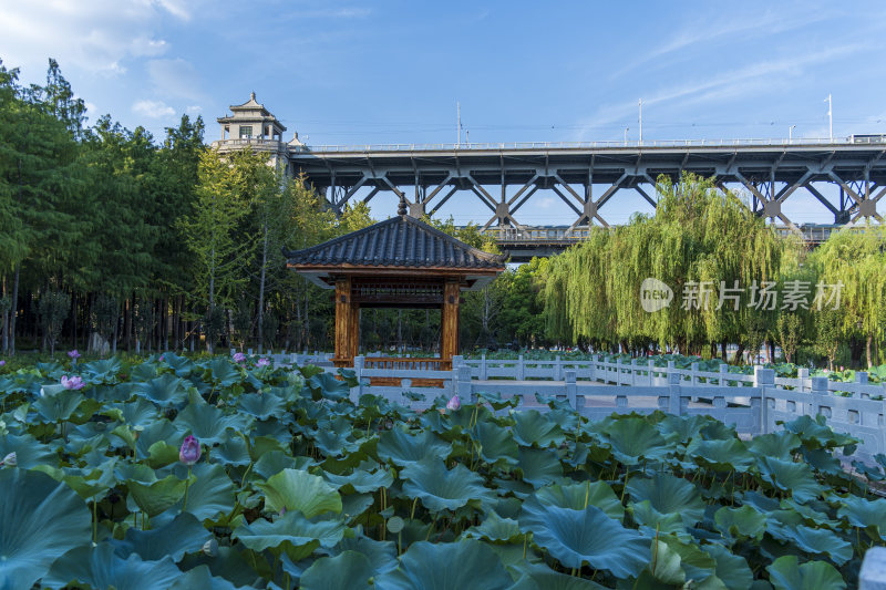 杭州汉阳区汉阳江滩公园风光