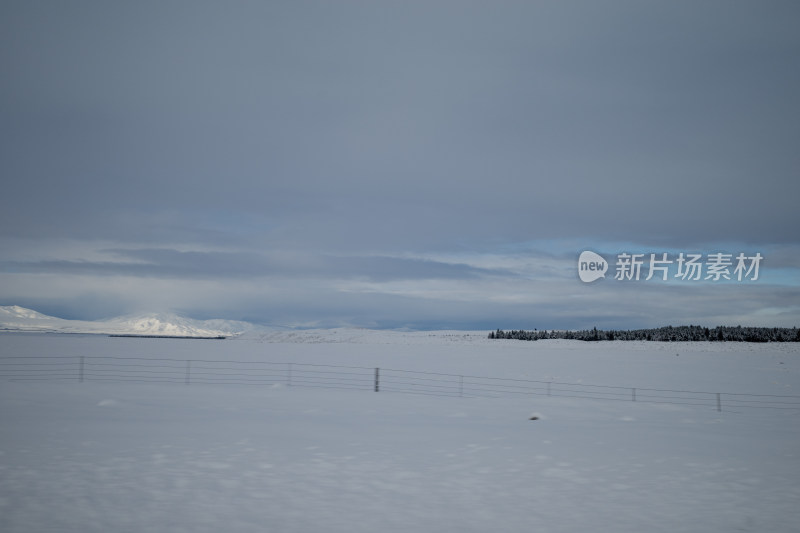 Lake Tekapo蒂卡波湖农场雪景