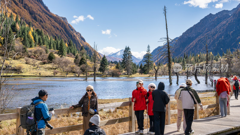 游客在四川阿坝四姑娘山双桥沟景区欣赏秋景