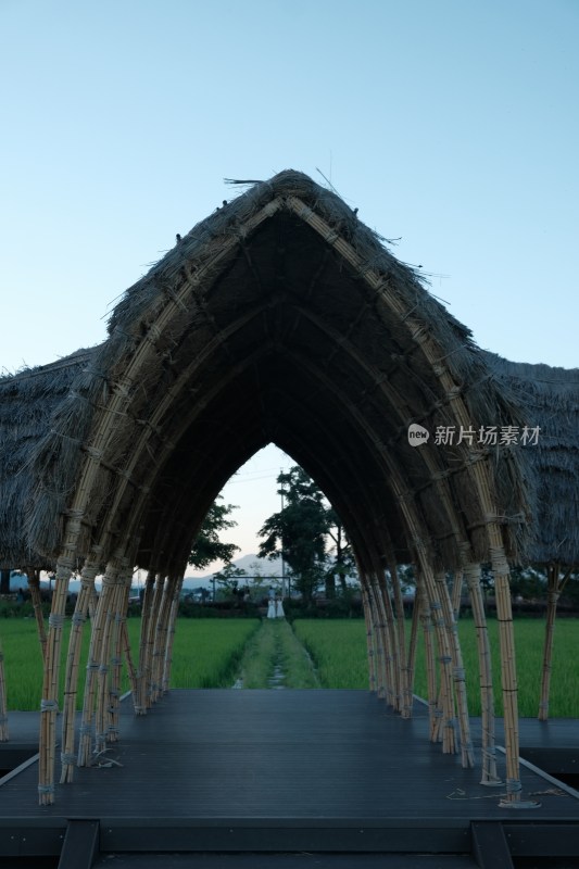 稻田上的茅草拱形建筑