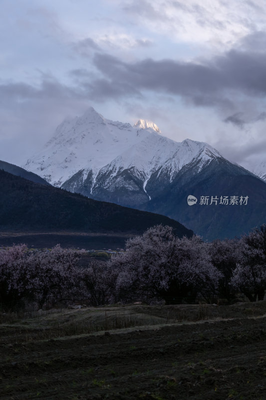 西藏林芝索松村南迦巴瓦峰雪山云海之巅