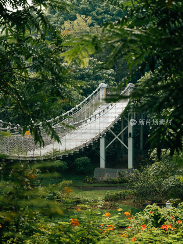 东莞植物园