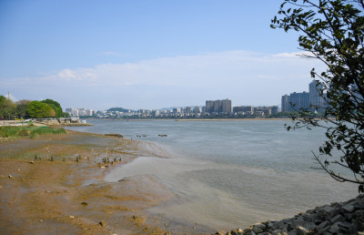 城市高楼旁水域的自然景观