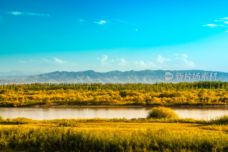 中国新疆天山腹地那拉提草原风光