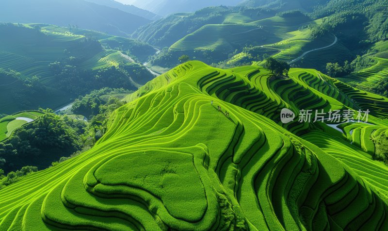 绿色山间稻田梯田农业自然生态背景