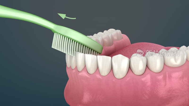 口腔医学牙齿健康口腔卫生牙齿插图
