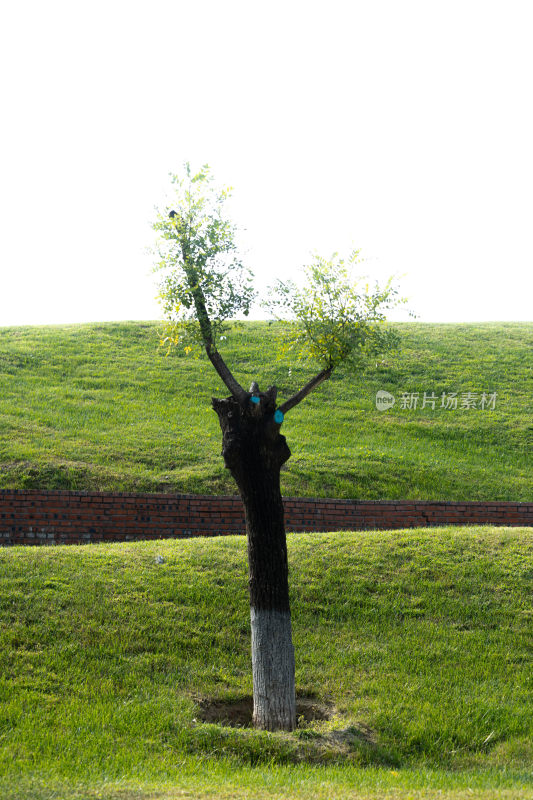 北京常营户外自然风景