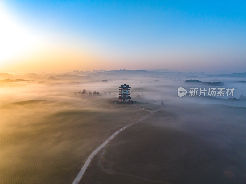 贵州遵义湄潭茶海