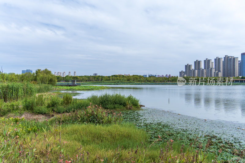 武汉江夏中央大公园风景