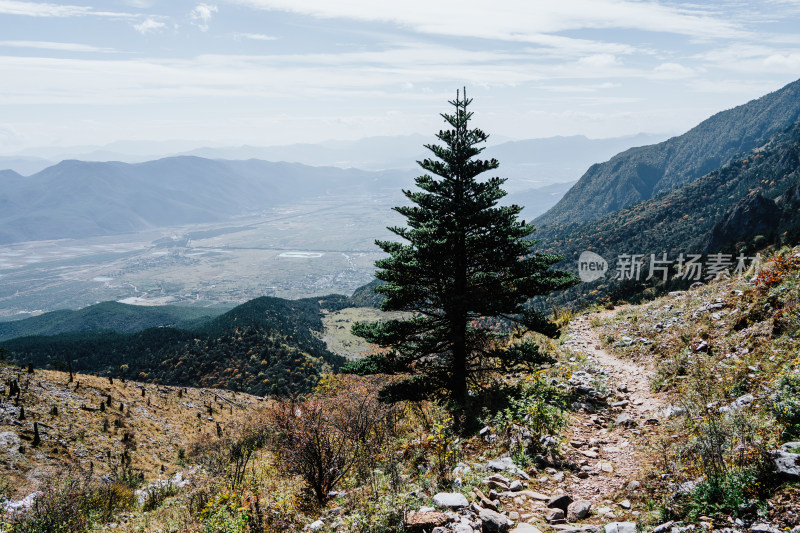 丽江玉龙雪山蚂蝗坝