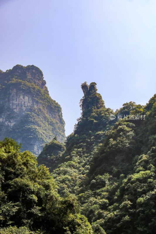 湖北宜昌三峡竹海风景区，自然风光，竹海