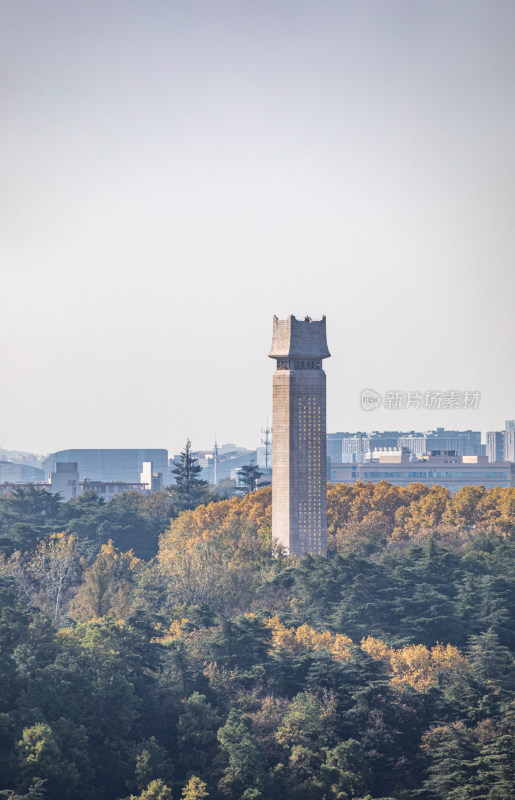 南京雨花台城市山林景观全景