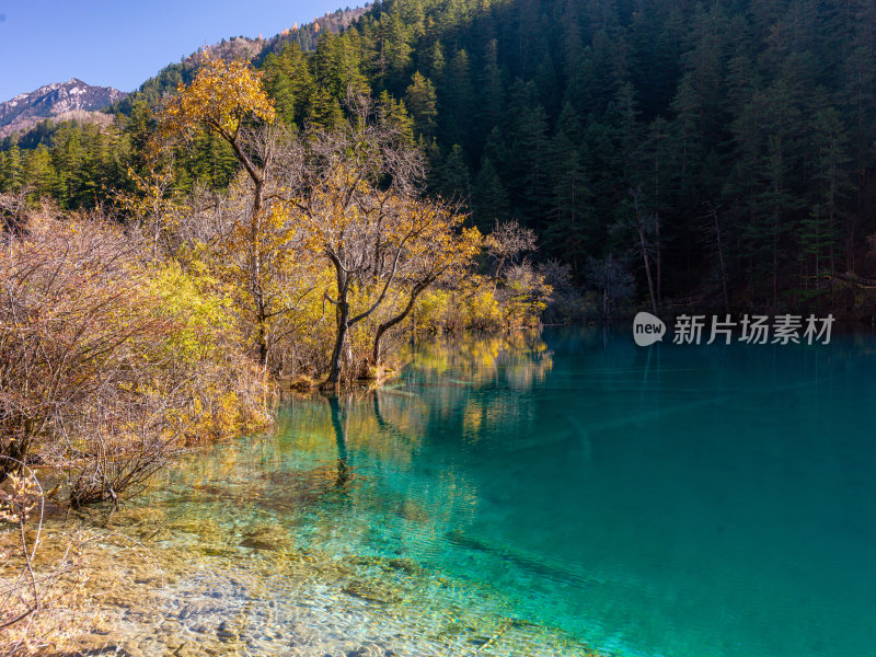 九寨沟秋景