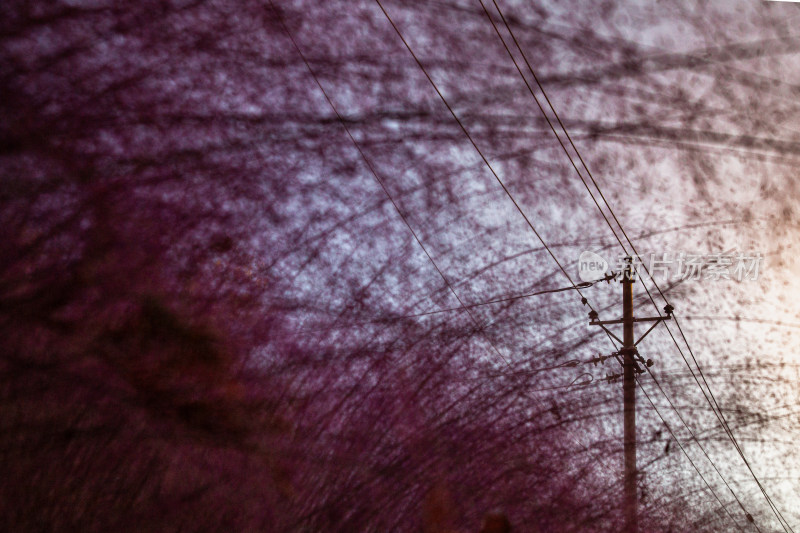 暮色中电线杆与朦胧树影