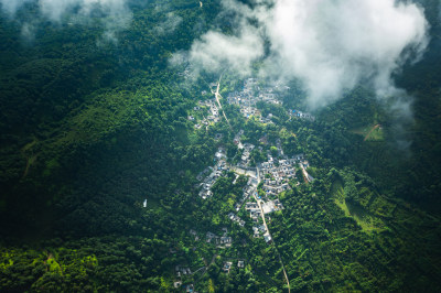 云雾下的绿色森林大地乡村