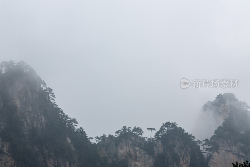 云海中的大明山