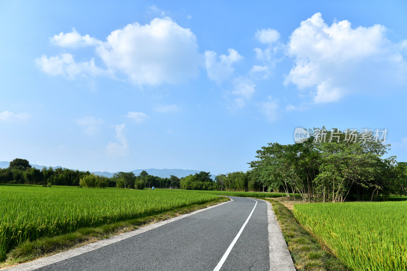 田园风光田间小路