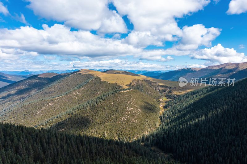 高原与山间松林