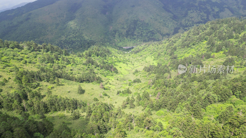 航拍湖北神农架景区高山森林