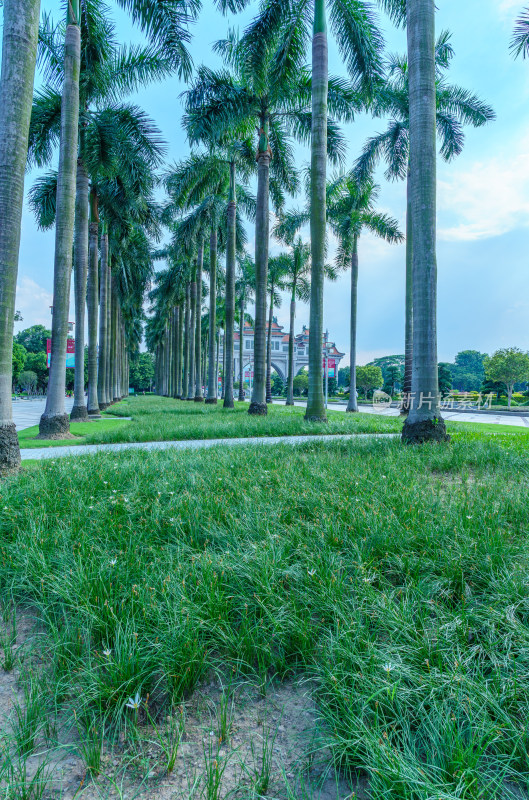 佛山顺峰山公园城市休闲广场与园林景观设计