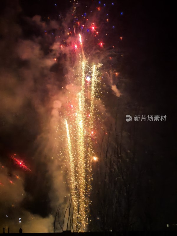 绚烂多彩的烟花在夜空中绽放的画面