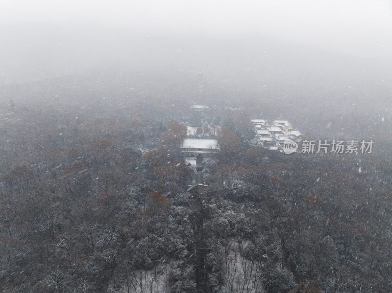 南京灵谷寺雪景