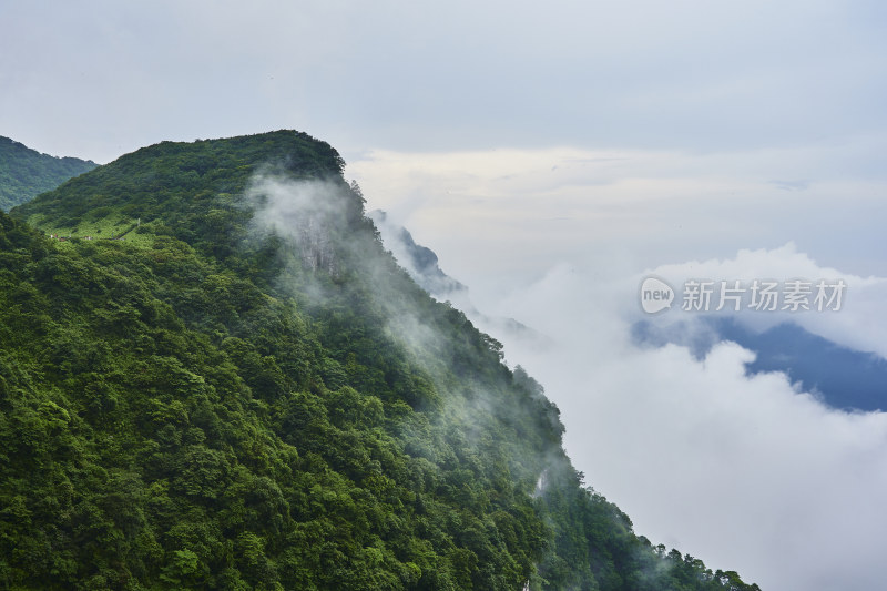 云雾缭绕的金佛山