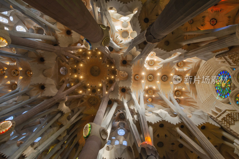 巴塞罗那圣家族教堂内部仰视视角