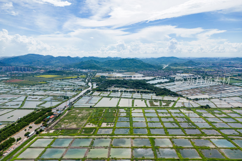 广东省中山市南朗街道崖口村的耕地和养殖场