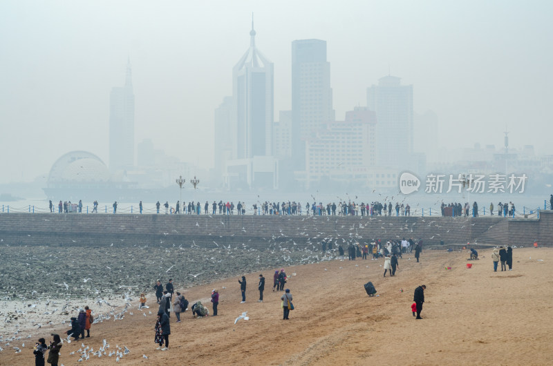 雾气中的青岛栈桥旁城市风光