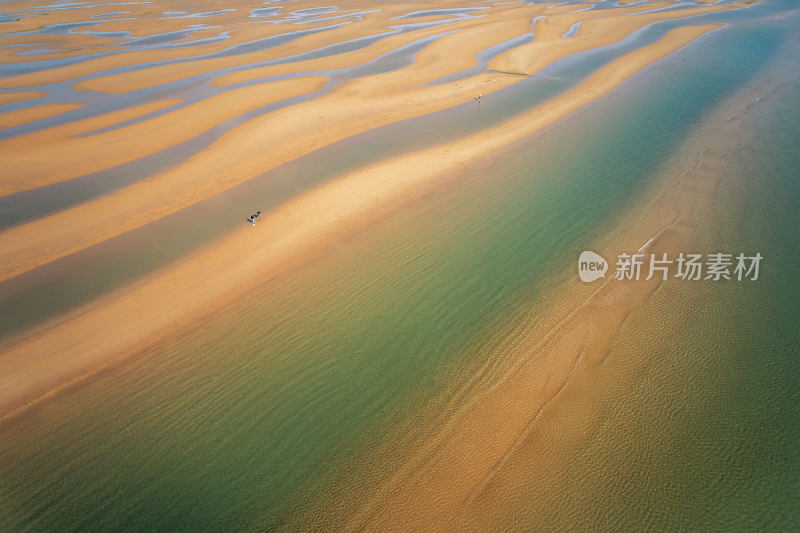 退潮后的海滩