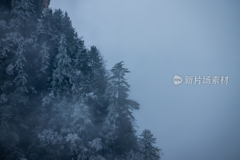 神农架神农顶冬季雪景