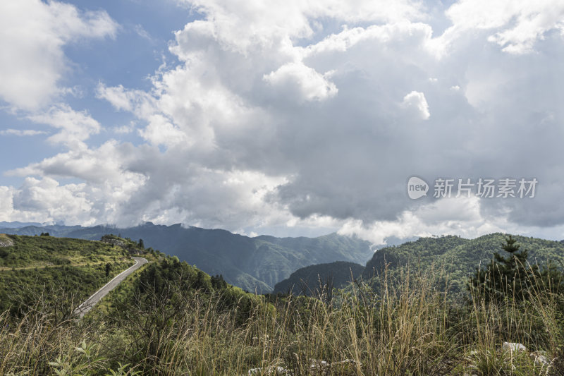 草地蓝天白云自然风景图