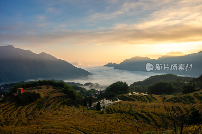 浙江丽水云和梯田景区风光