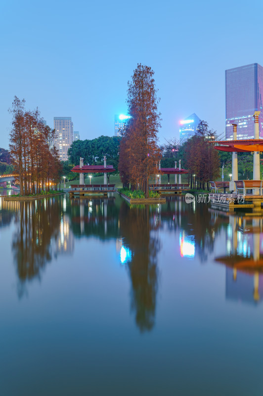 佛山千灯湖公园落羽杉红叶与城市夜景灯光