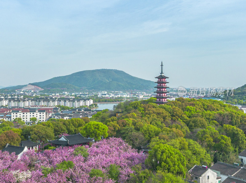 航拍苏州吴中区光福铜观音寺晚樱小桥流水