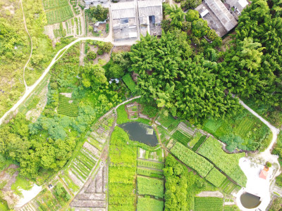 航拍俯瞰农田田园风光