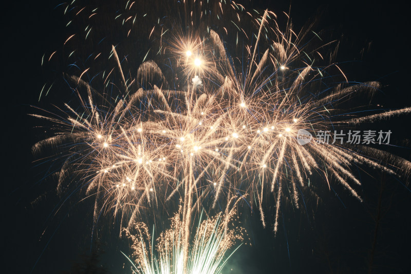 绚烂多彩的烟花绽放夜景