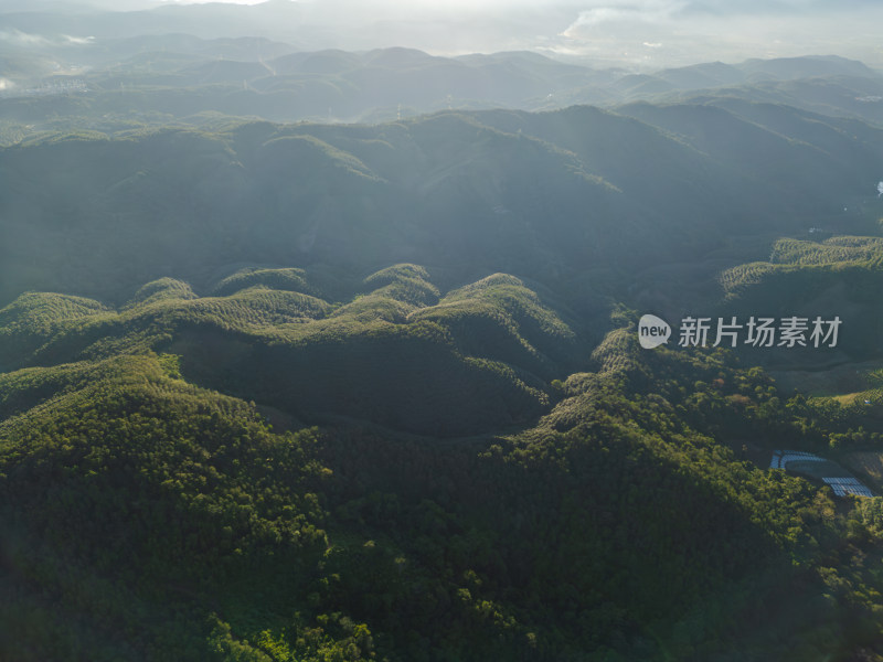 航拍层峦叠嶂的绿色山脉自然景观