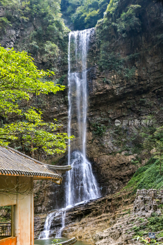 湖北宜昌三峡竹海风景区，自然风光，竹海