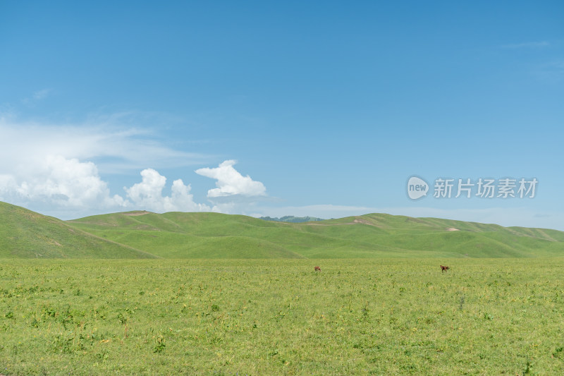 新疆伊犁那拉提景区